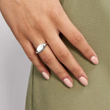 Oval Signet Ring, 925 Silver Plated